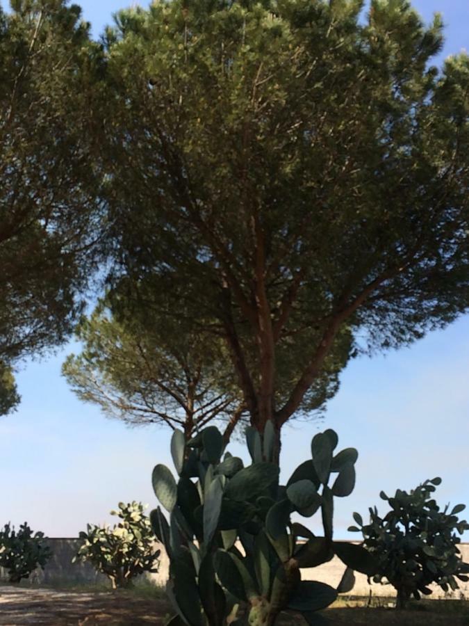 B&B Villa 16 Pini Lecce Kültér fotó
